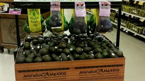 Avocados From Mexico 'Ready When You're Ready' Dump Bin