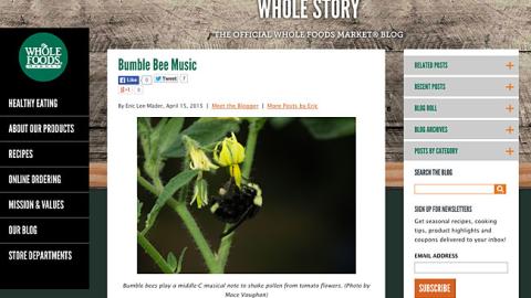 Whole Foods 'Bumble Bee Music' Blog Post
