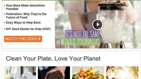 Whole Foods 'Without Pollinators' Email Ad