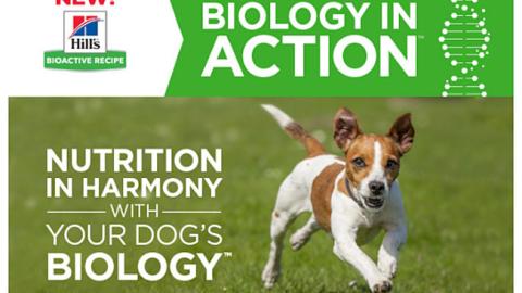 Petco Hill's Bioactive Recipe 'Biology in Action' Email