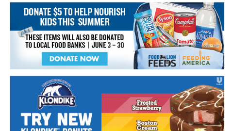 Food Lion 'Donate $5' Email Ad