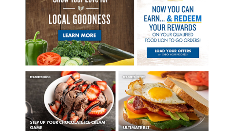 Food Lion 'Help Nourish Kids' Home Page Display Ad