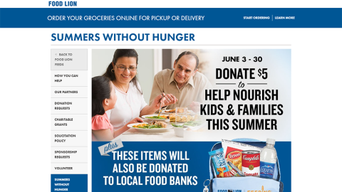 Food Lion 'Summers Without Hunger' Web Page