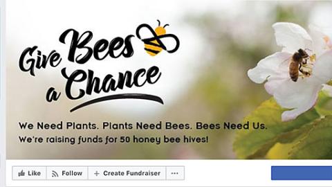 Whole Kids Foundation 'Give Bees a Chance' Facebook Cover