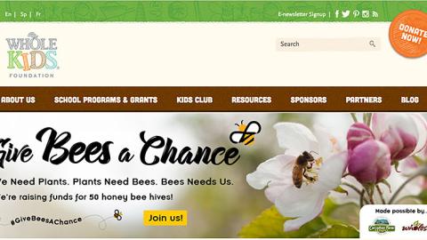 Whole Kids Foundation 'Give Bees a Chance' Leaderboard Ad