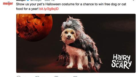 Meijer 'Win Free Dog or Cat Food' Twitter Update
