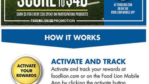 Food Lion 'Playoff Payoff' Email