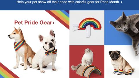 Target 'Pet Pride Gear' Email Ad