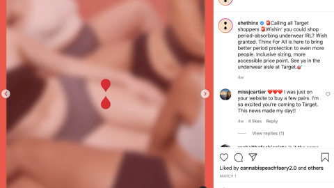 Shethinx Target Instagram Update