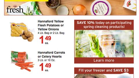 Hannaford 'Save 10% Today' E-Mail Ad