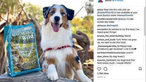 Petco Taste of the Wild 'Now Available' Instagram Update