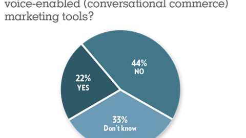 Trends 2019: Is your organization currently developing voice-enabled (conversational commerce) marketing tools?
