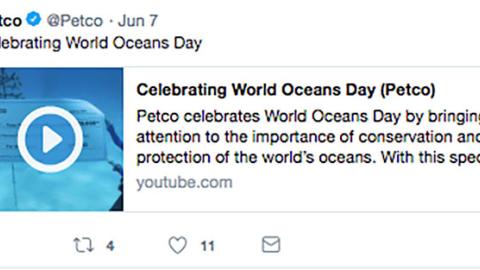 Petco 'Celebrating World Oceans Day' Twitter Update